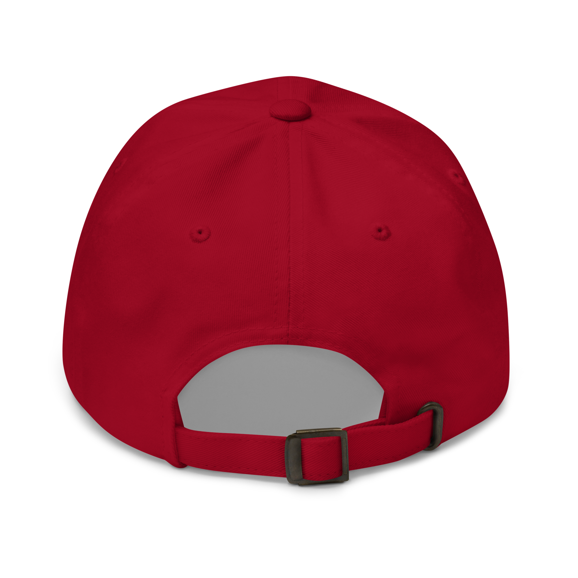 Home Is Where We Park It Classic Cap